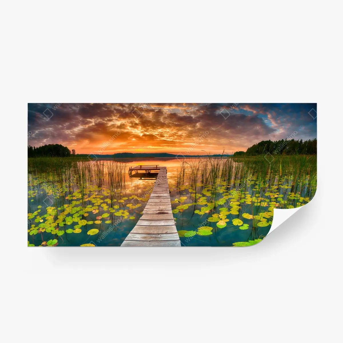 Fototapete sonnenaufgang über stillem see mit hölzernem steg – Pixers®