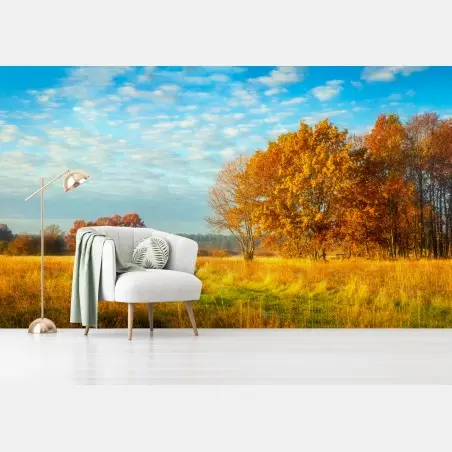 Fototapete goldene herbstwiese – Pixers®