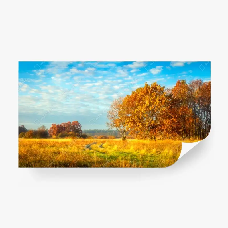 Fototapete goldene herbstwiese