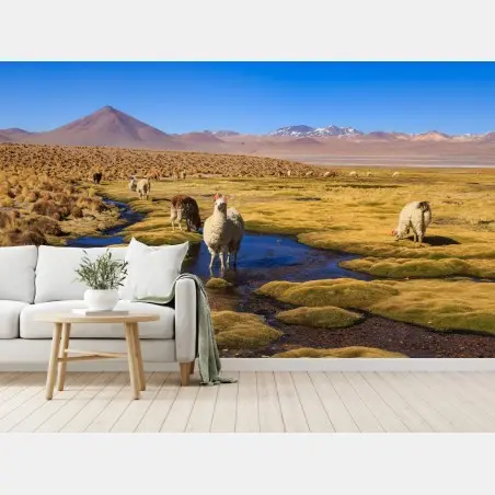 Fototapete lama auf dem altiplano der Anden – Pixers®