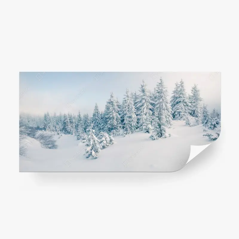 Fototapete winterliche waldpanorama mit schneebedeckten fichten