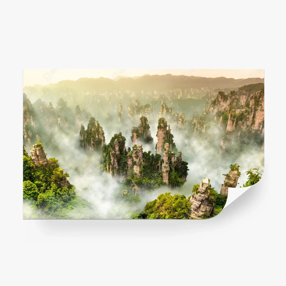 Fototapete neblige säulen von Zhangjiajie – Pixers®