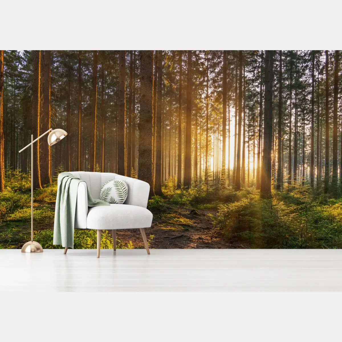 Fototapete sonnenbeschienener waldweg am morgen – Pixers®