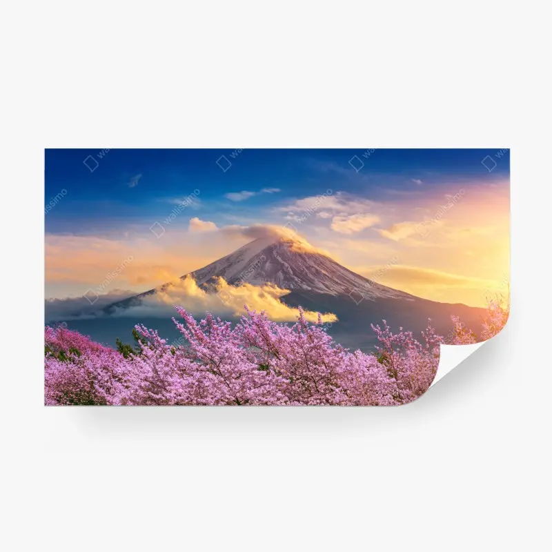 Fototapete Berg Fuji mit blühenden kirschblüten bei sonnenaufgang