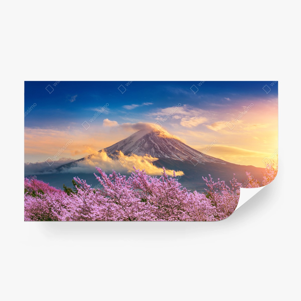 Fototapete Berg Fuji mit blühenden kirschblüten bei sonnenaufgang – Pixers®
