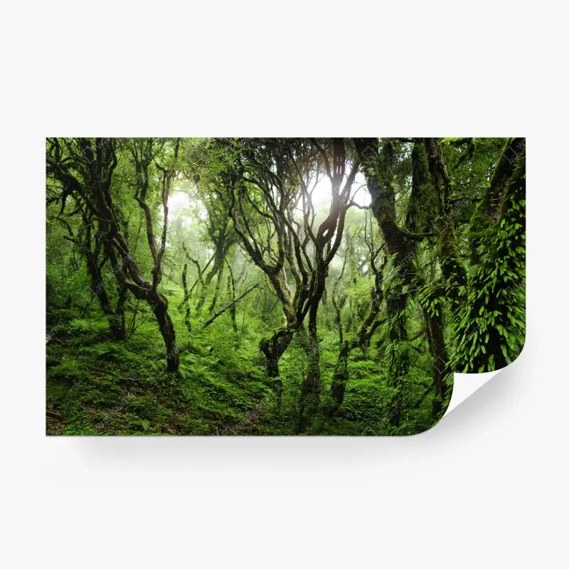 Fototapete mystischer grüner wald