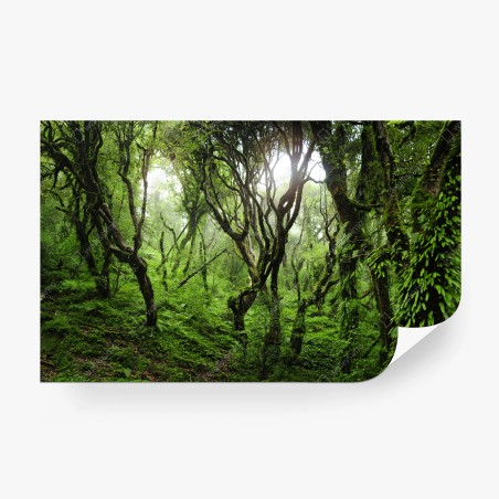 Fototapete mystischer grüner wald – Pixers®