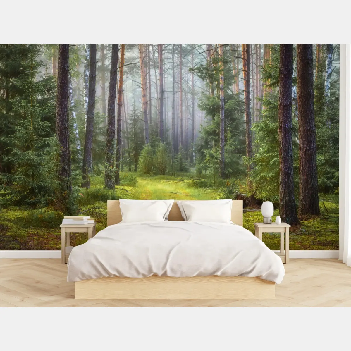 Fototapete nebliger kiefernwald mit pfad – Pixers®