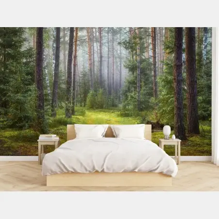 Fototapete nebliger kiefernwald mit pfad – Pixers®