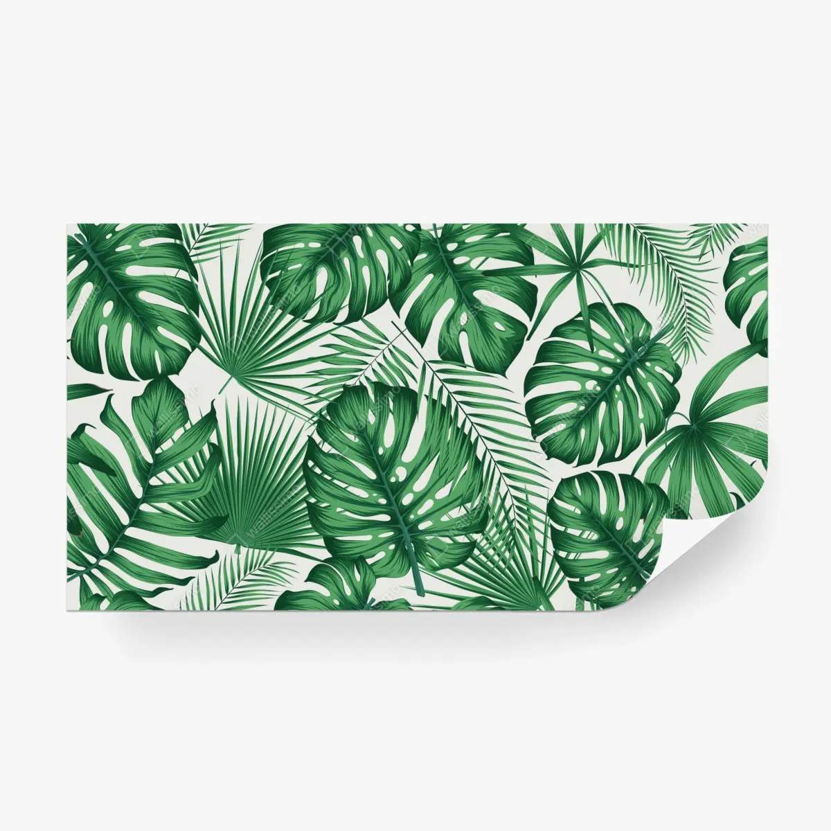 Fototapete tropisches monstera- und palmblättermuster – Pixers®
