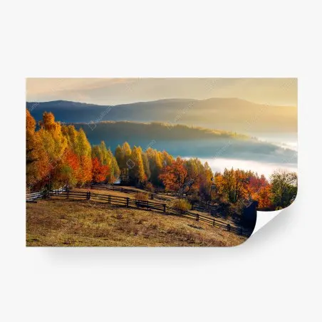 Fototapete nebliger herbstlicher sonnenaufgang auf dem land – Pixers®