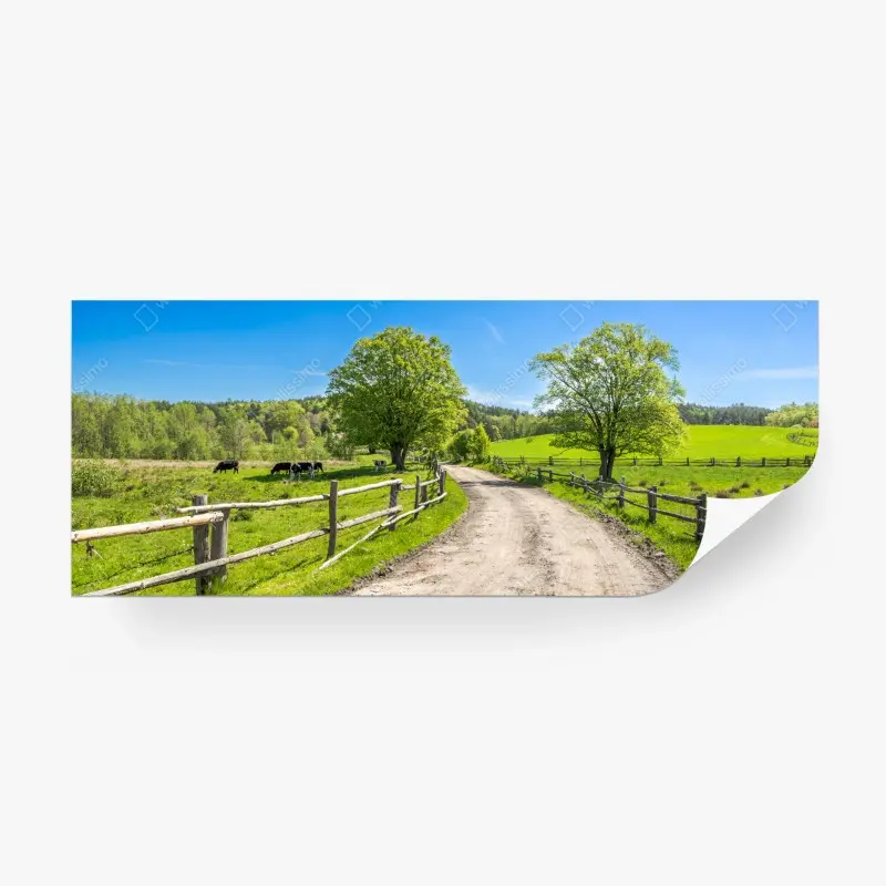 Fototapete sonnige landstraße durch grüne wiesen