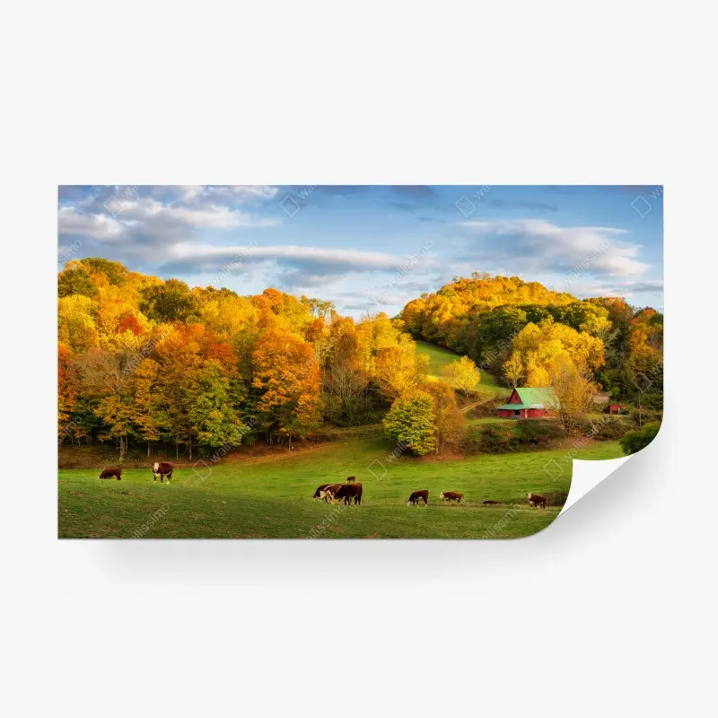 Fototapete herbstliche landschaft mit roter scheune