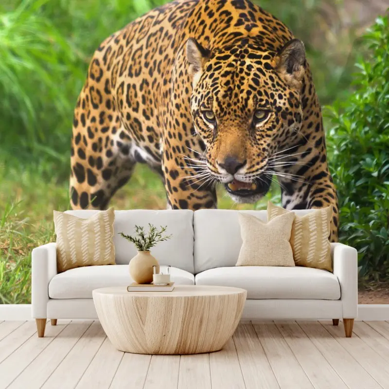 Fototapete majestätischer jaguar in freier wildbahn