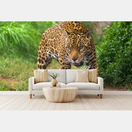 Fototapete majestätischer jaguar in freier wildbahn – Pixers®
