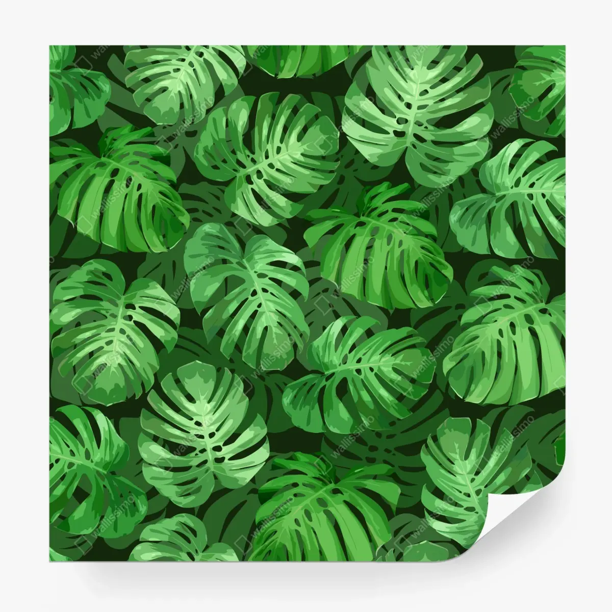 Fototapete tropisches monstera-blattmuster – Pixers®