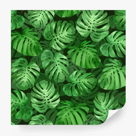 Fototapete tropisches monstera-blattmuster – Pixers®