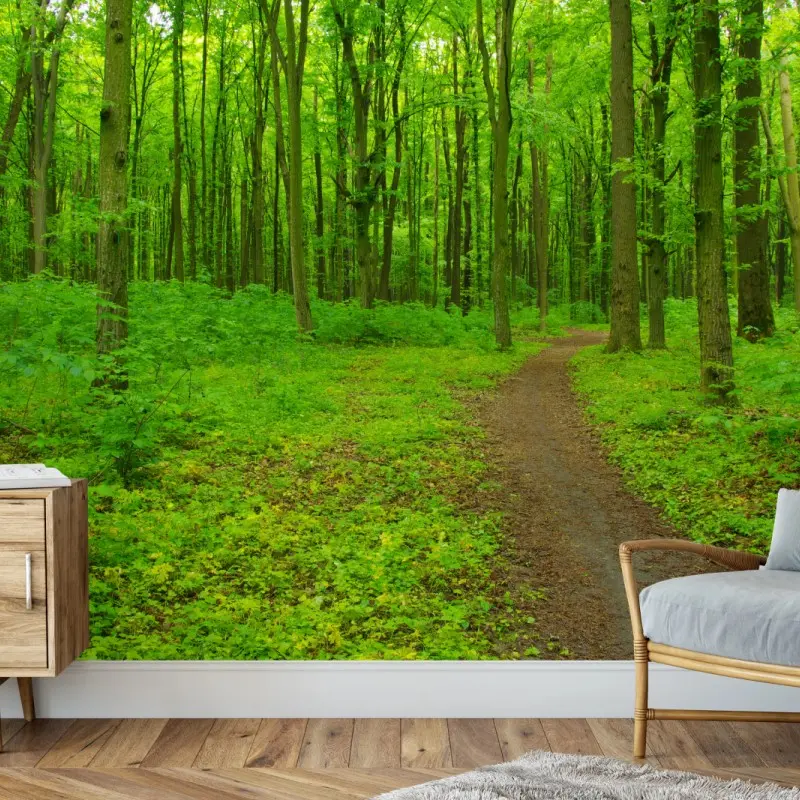 Fototapete beruhigender grüner waldweg
