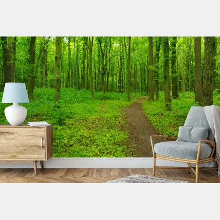 Fototapete beruhigender grüner waldweg – Pixers®