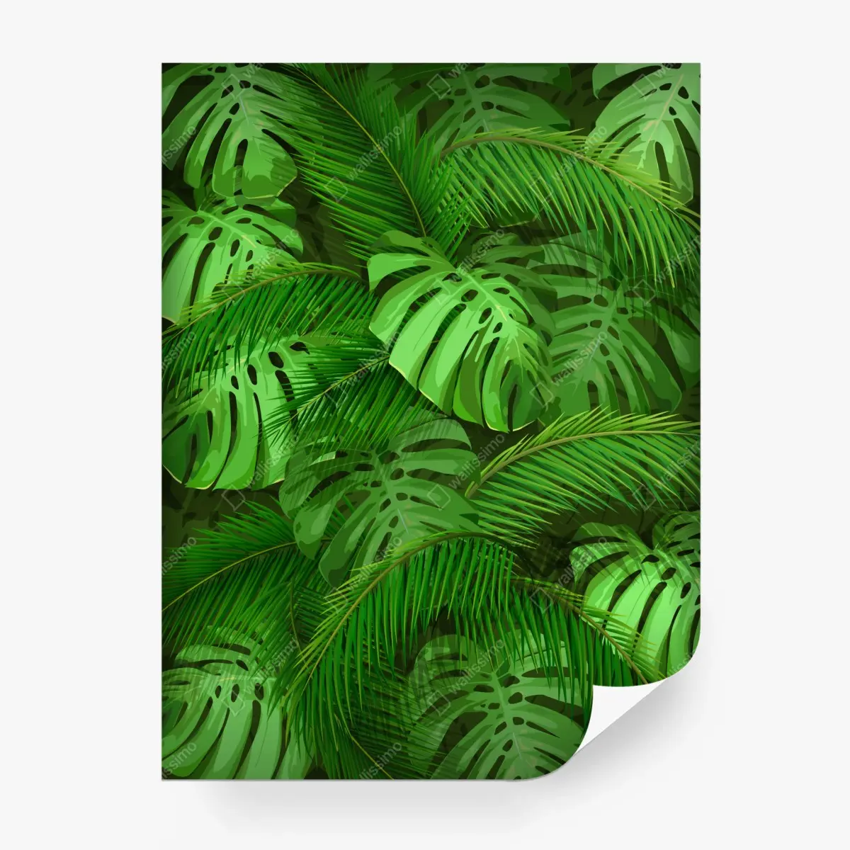 Fototapete üppige tropische monstera- und palmenblätter – Pixers®
