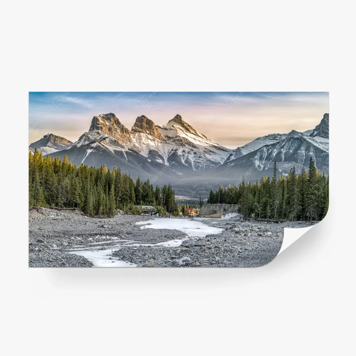 Fototapete majestätische berggipfel und kiefernwald – Pixers®