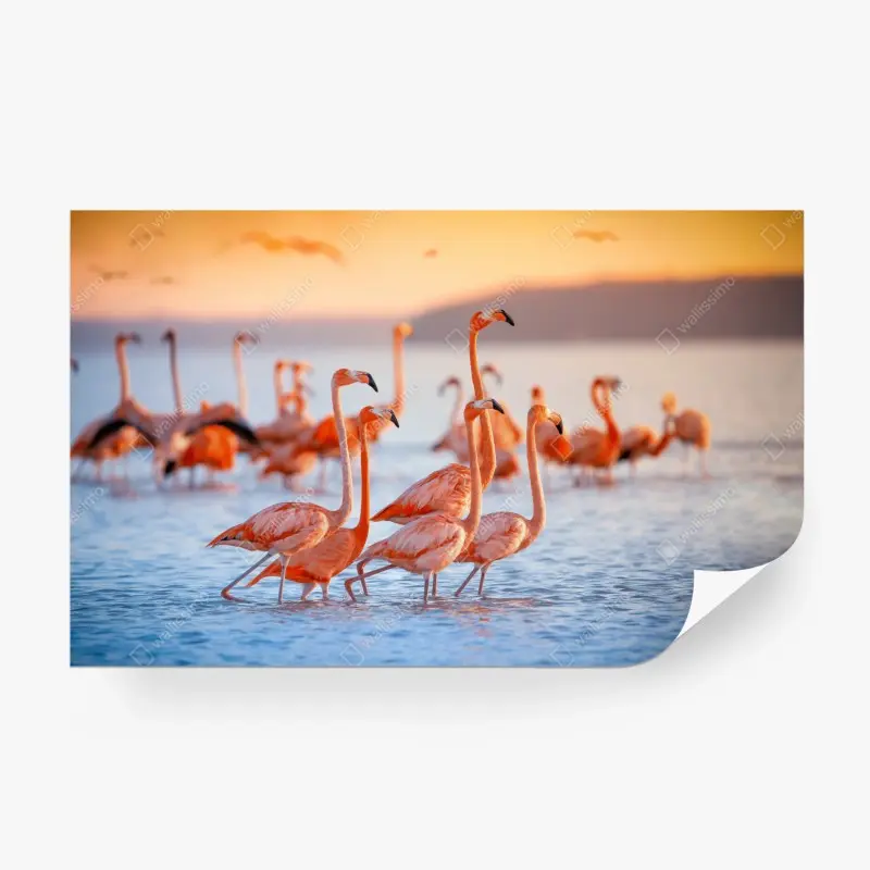 Fototapete rosa flamingos bei sonnenuntergang