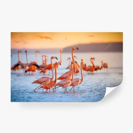 Fototapete rosa flamingos bei sonnenuntergang – Pixers®