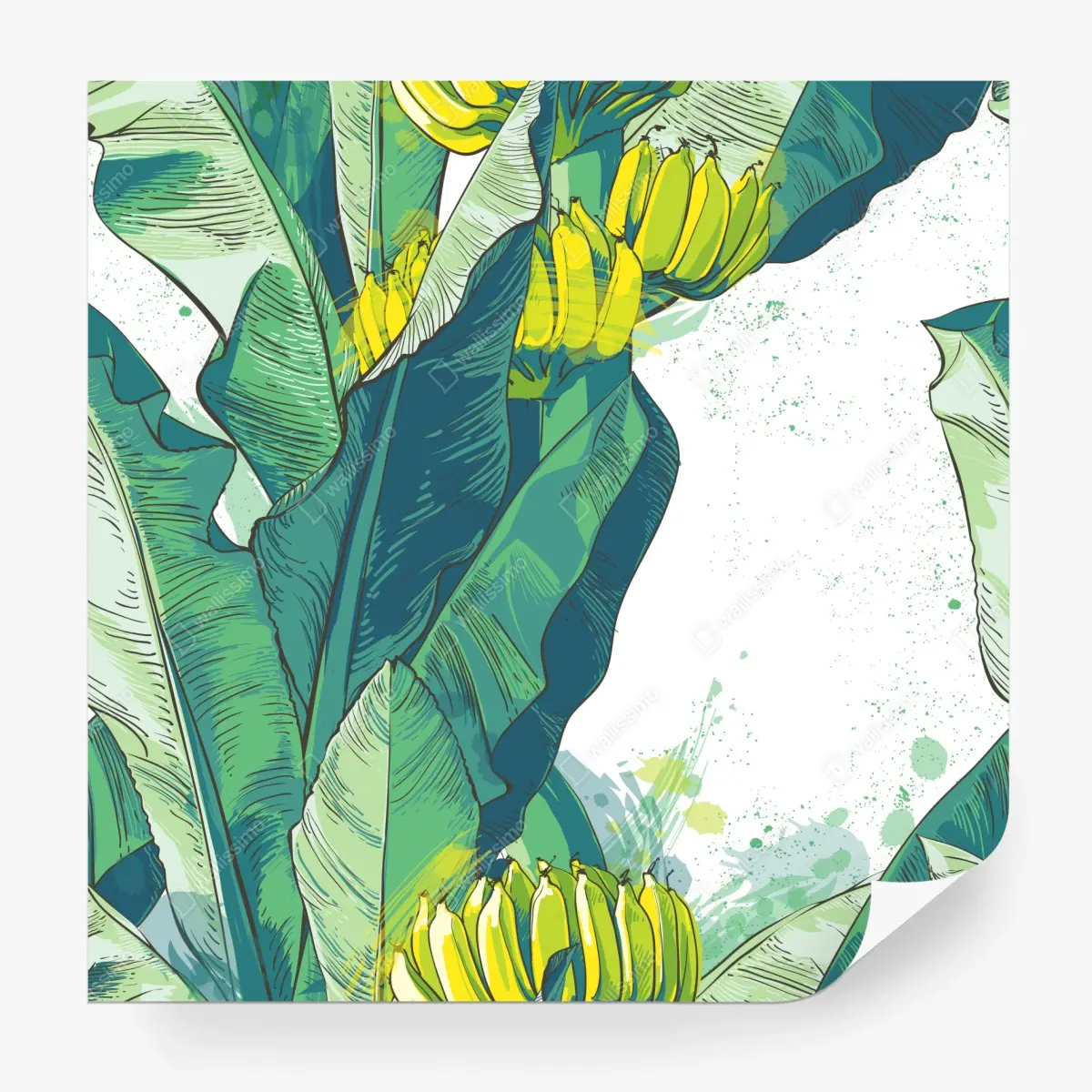 Fototapete tropische bananenblatt-illustration – Pixers®