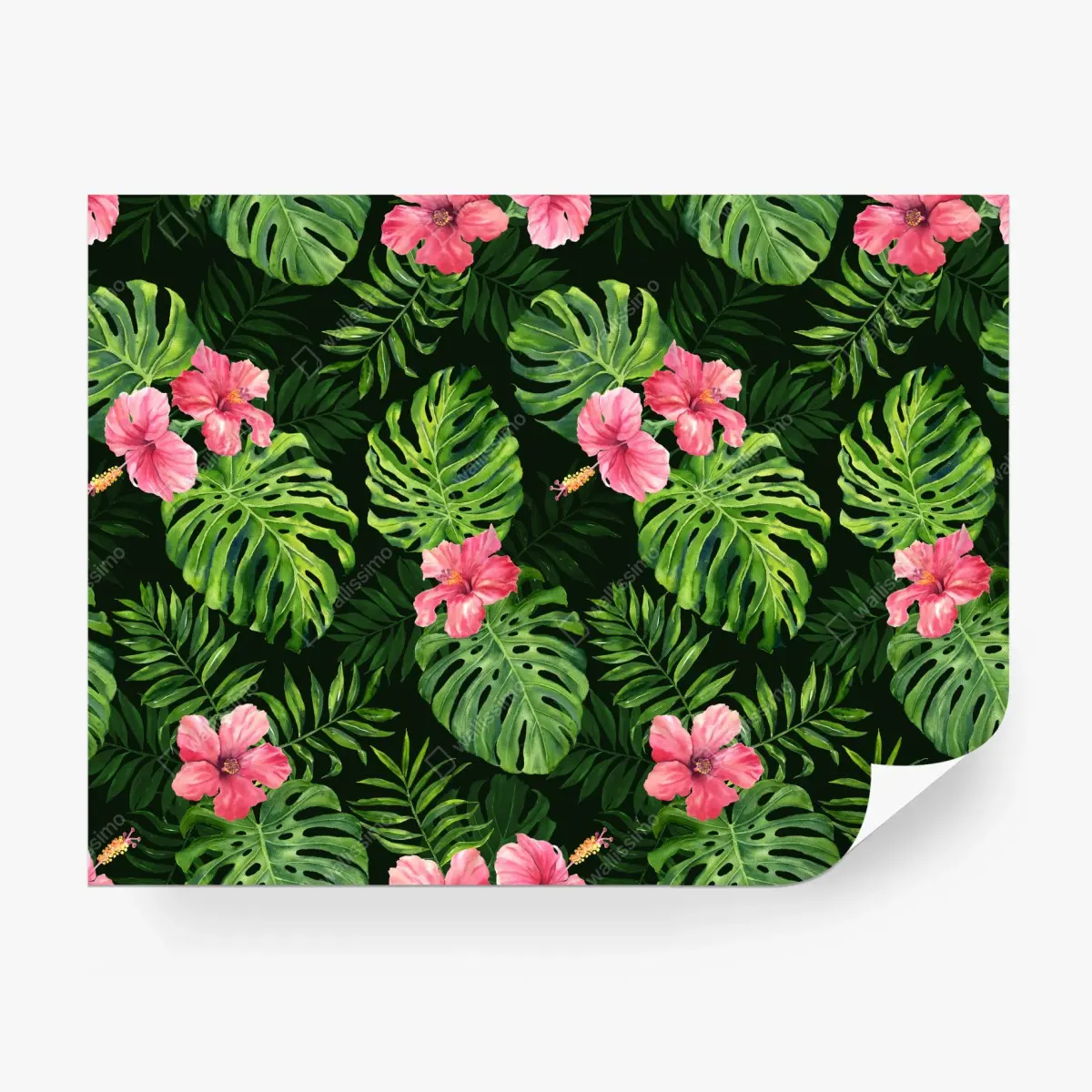 Fototapete tropisches monstera- und hibiskus-motiv – Pixers®