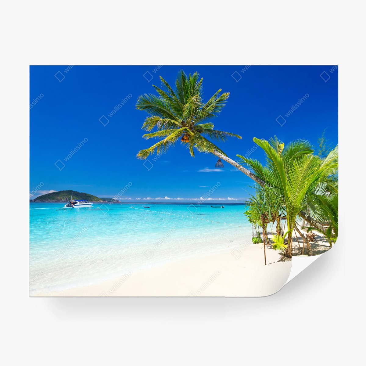 Fototapete tropischer strand in Thailand – Pixers®