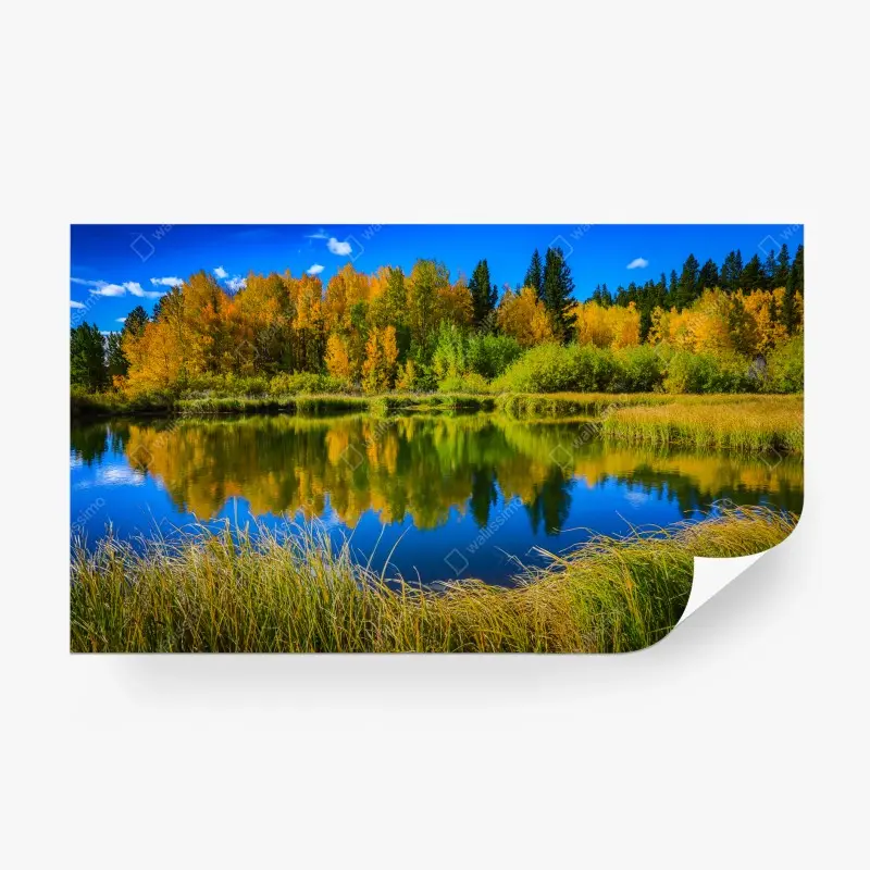 Fototapete herbstbäume spiegeln sich in einem ruhigen see