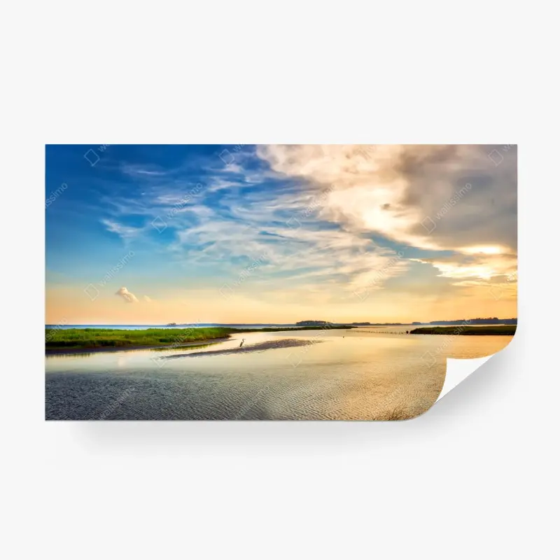 Fototapete graureiher in der Chesapeake-Bucht bei sonnenuntergang