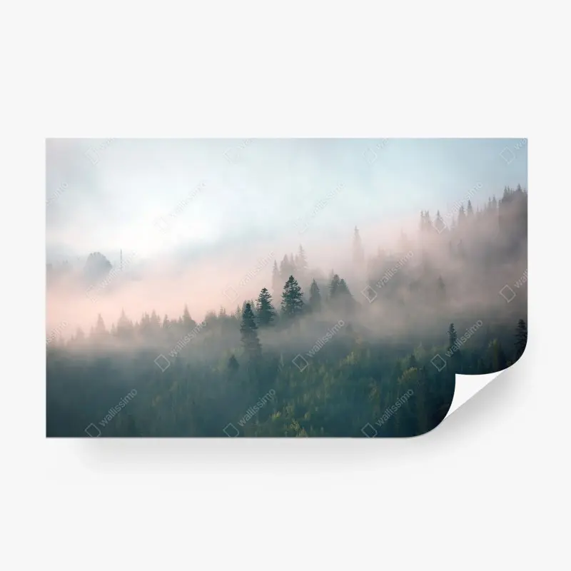 Fototapete nebliger morgenwald