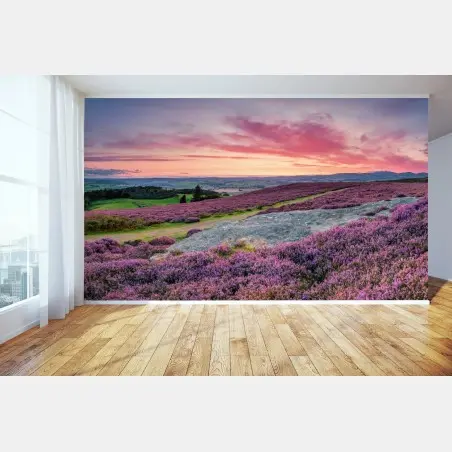 Fototapete violette heideflächen bei sonnenuntergang – Pixers®