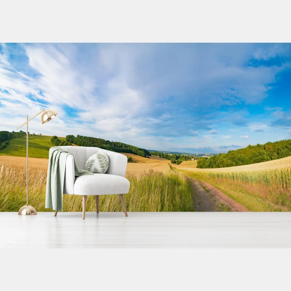 Fototapete morgendliche weizenlandschaft in Kansas – Pixers®