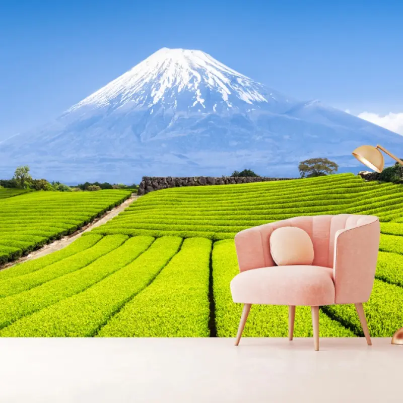 Fototapete üppige teefelder am fuß von Mount Fuji