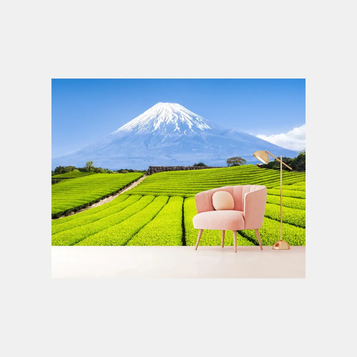 Fototapete üppige teefelder am fuß von Mount Fuji – Pixers®