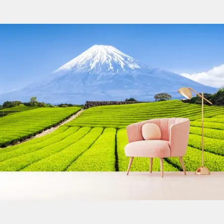Fototapete üppige teefelder am fuß von Mount Fuji – Pixers®