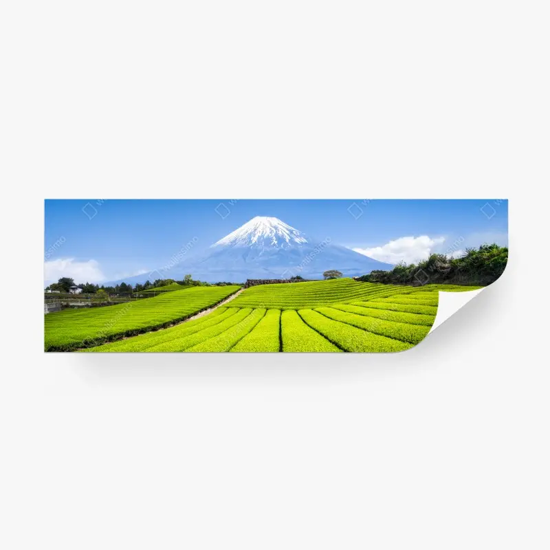 Fototapete üppige teefelder am fuß von Mount Fuji