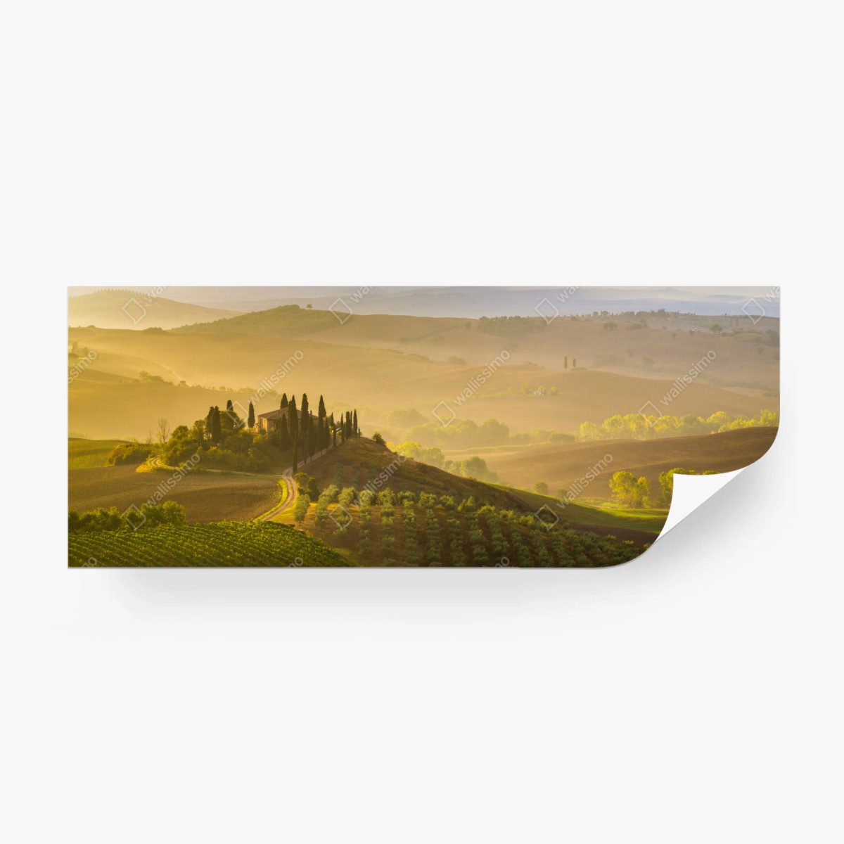 Fototapete nebliger morgen über Val d'Orcia – Pixers®