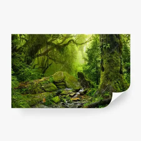 Fototapete moosbedeckter waldbach – Pixers®