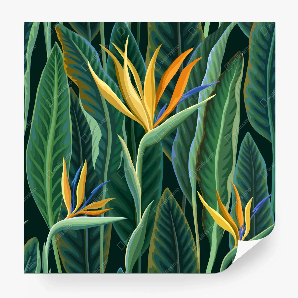 Fototapete tropische illustration mit strelitzie und üppigen blättern – Pixers®