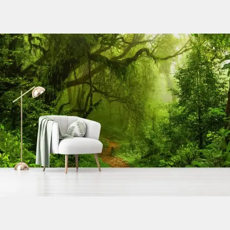 Fototapete üppiger grüner waldpfad – Pixers®