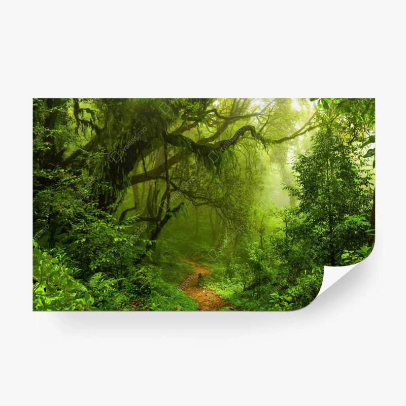 Fototapete üppiger grüner waldpfad
