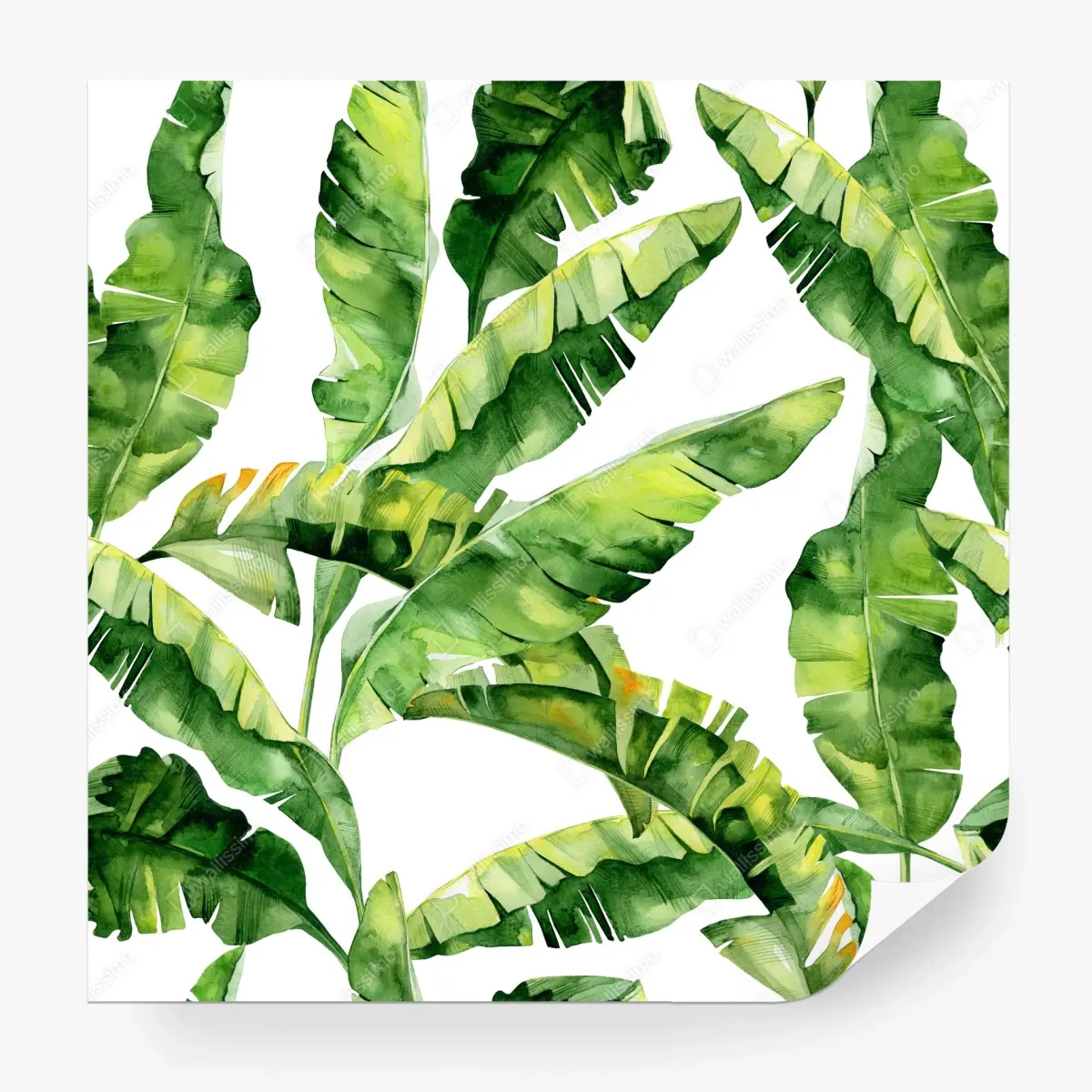 Fototapete tropisches bananenblatt aquarellmuster – Pixers®