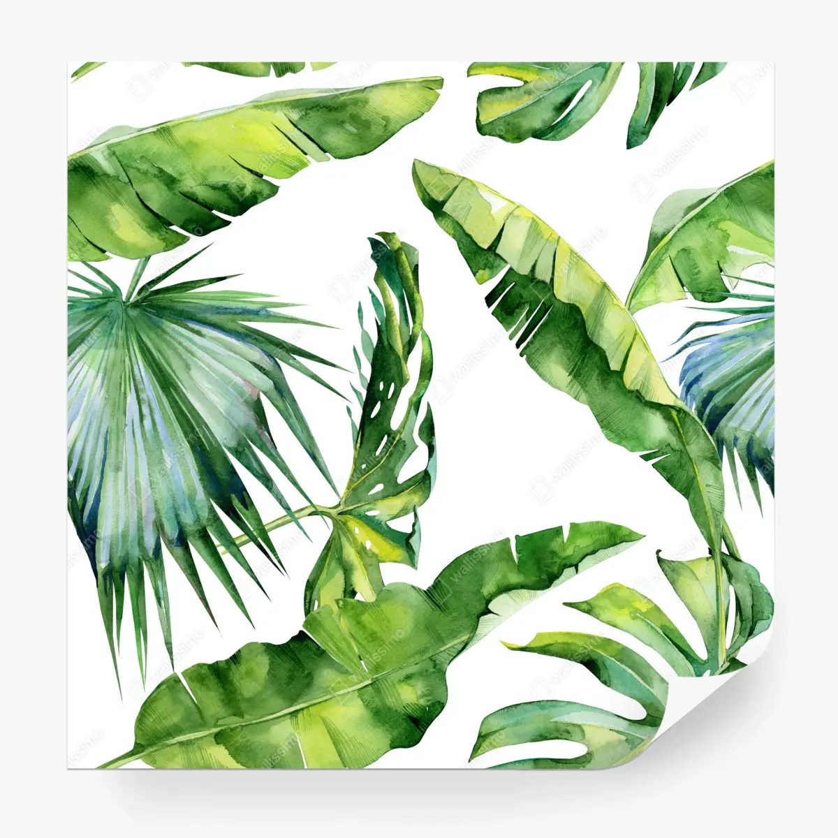 Fototapete tropisches aquarell palmblätter design – Pixers®