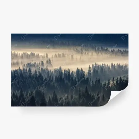 Fototapete nebliges fichtental im dämmerlicht – Pixers®