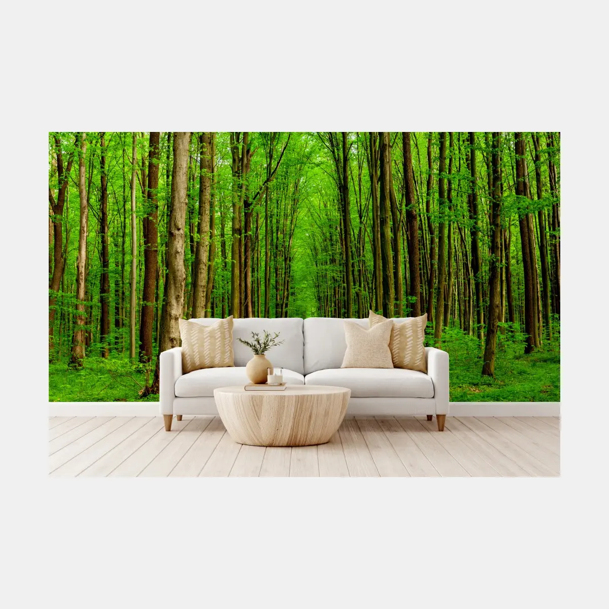 Fototapete grüner waldweg im frühling – Pixers®