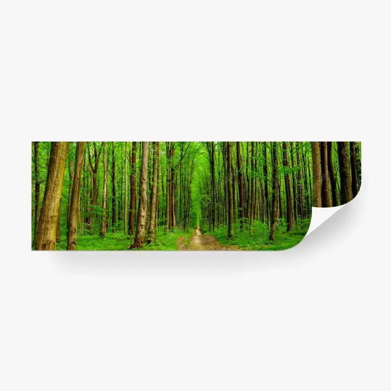 Fototapete grüner waldweg im frühling