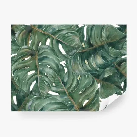 Fototapete monstera blätter in aquarell – Pixers®